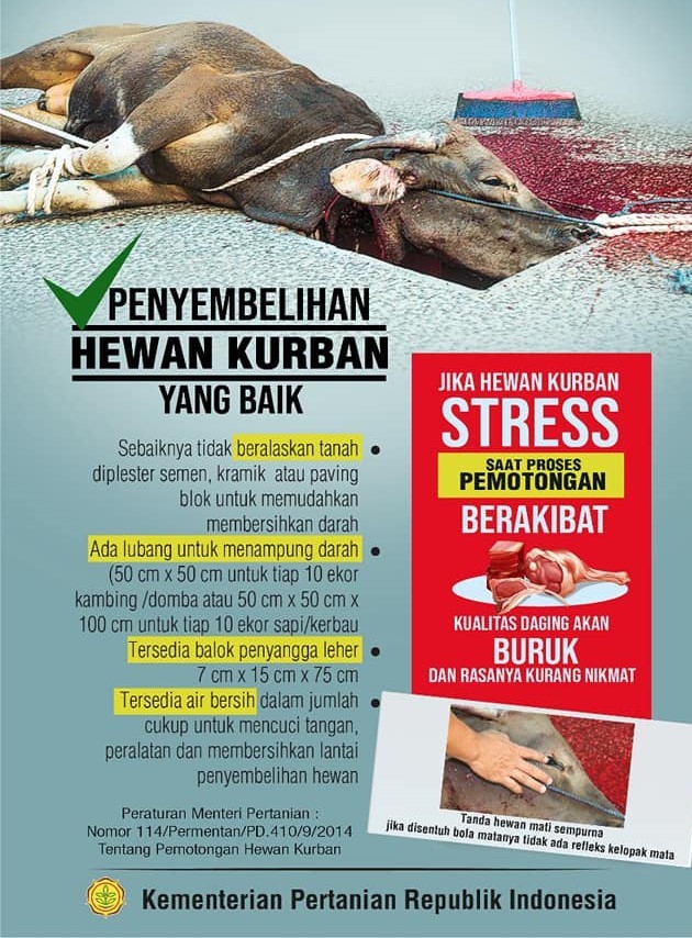 Penyembelihan Hewan Kurban Yang Baik