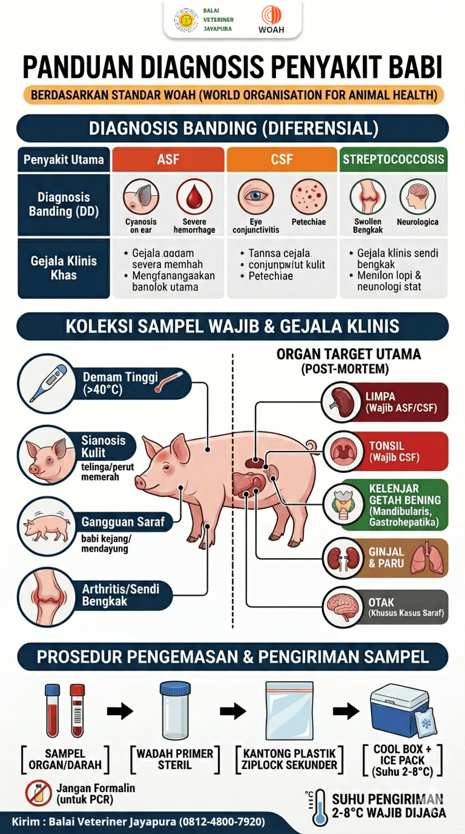 Panduan Diagnosis Penyakit Babi