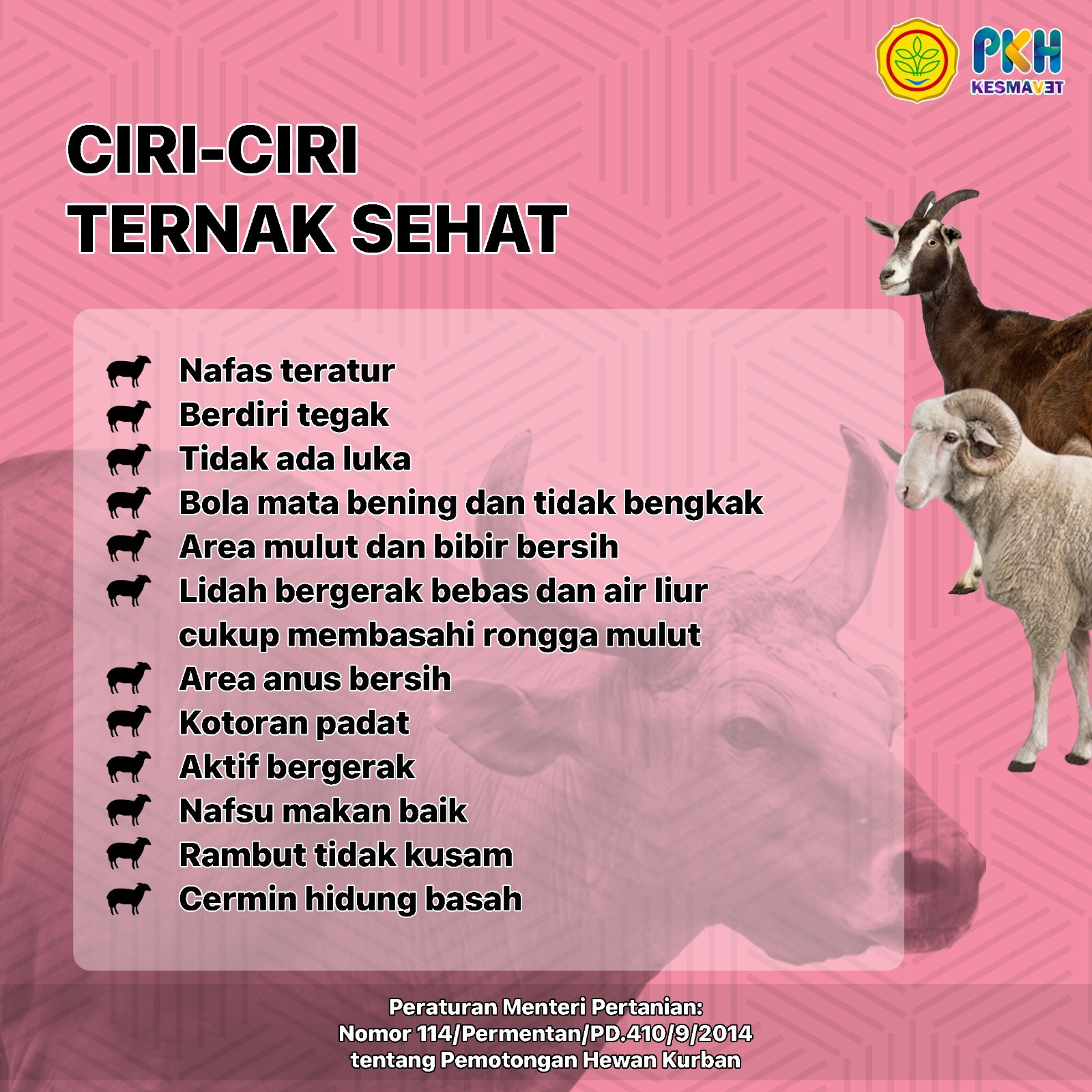 Ciri-Ciri Ternak Sehat