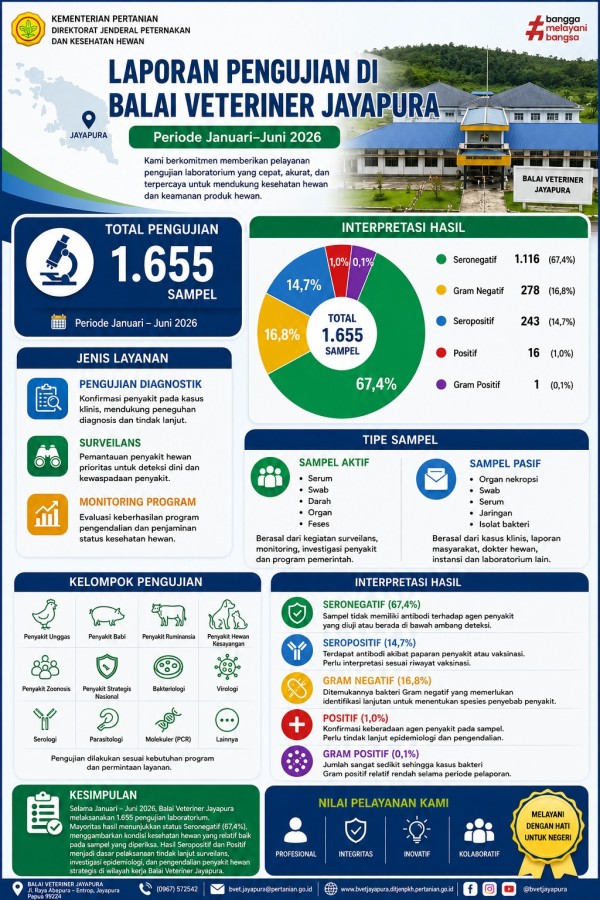 Infografis 3