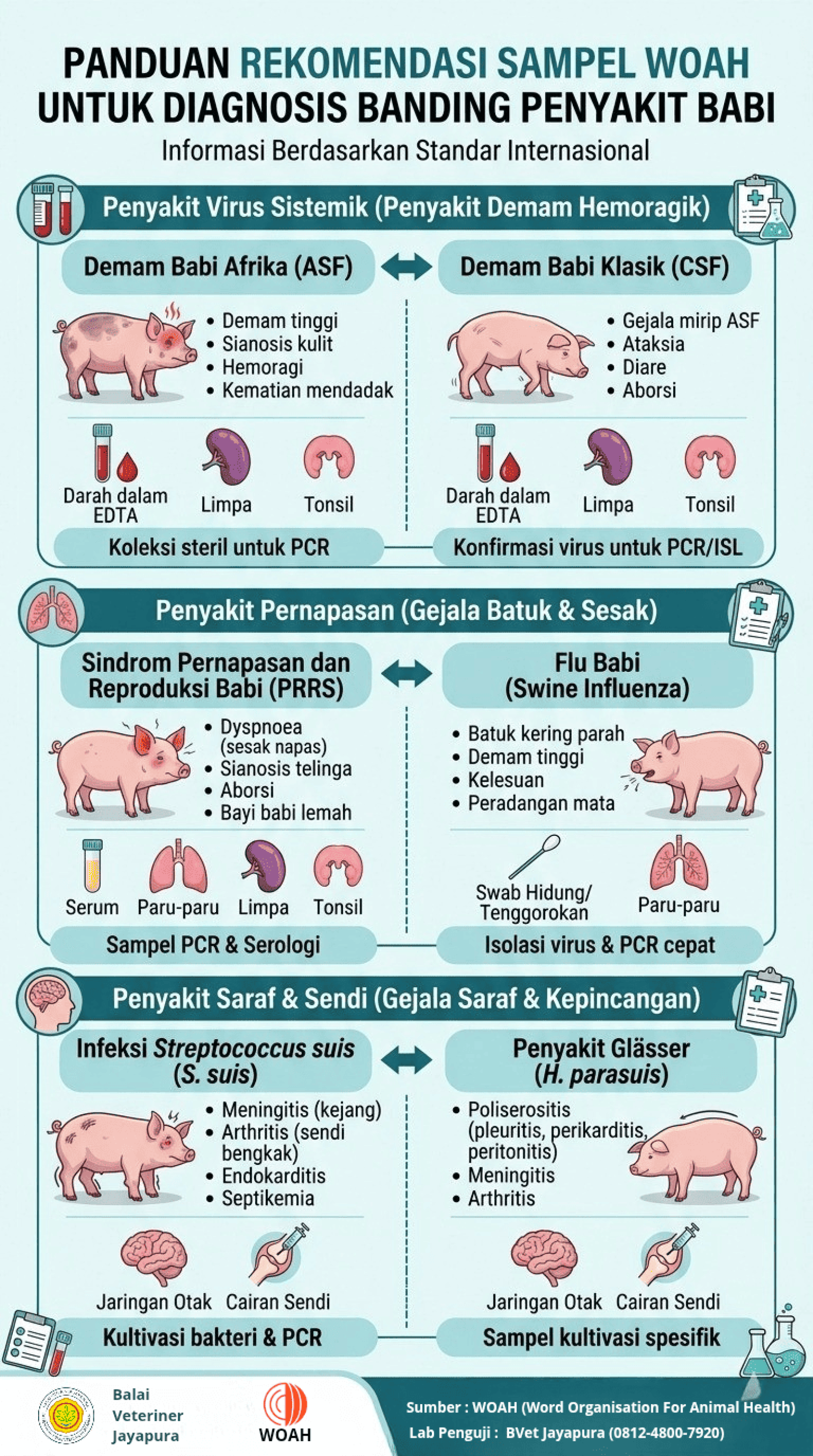 Panduan Rekomendasi Sampel WOAH Untuk Diagnosis Banding Penyakit Babi